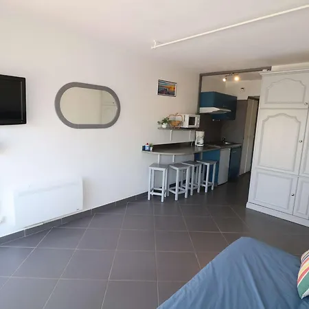Ensoleille A Port Camargue Avec Terrasse Et Parking - Fr-1-307-283 *